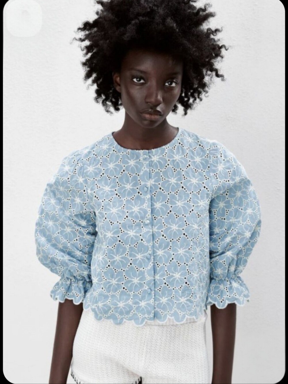 Zara Embroidery Eyelet Blouse Top